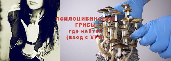 jwh Арсеньев