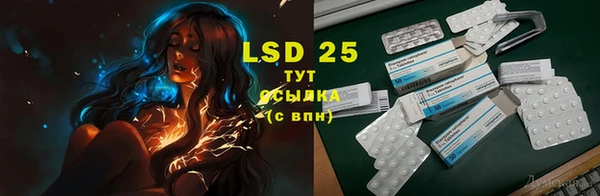 дживик Аркадак