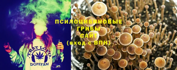 дживик Аркадак