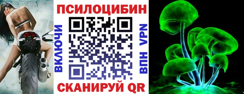 Псилоцибиновые грибы Cubensis  Петропавловск-Камчатский 