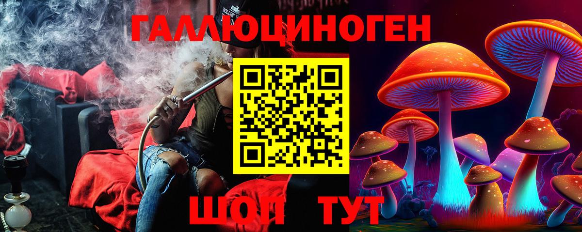 Петропавловск-Камчатский  Псилоцибиновые грибы Psilocybe  Вход с VPN 